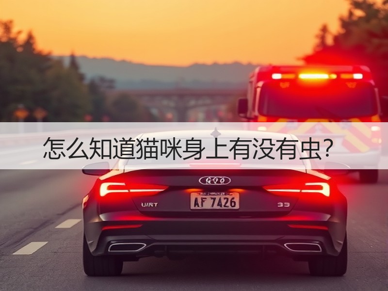怎么知道猫咪身上有没有虫？