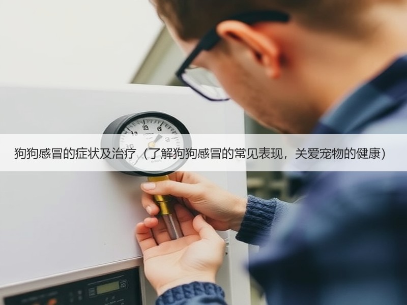 狗狗感冒的症状及治疗（了解狗狗感冒的常见表现，关爱宠物的健康）