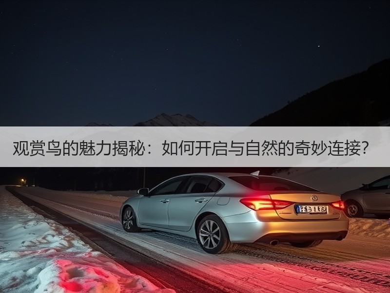 观赏鸟的魅力揭秘：如何开启与自然的奇妙连接？