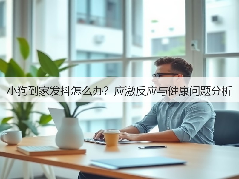 小狗到家发抖怎么办？应激反应与健康问题分析