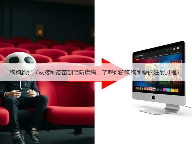 狗狗跑针（从接种疫苗到预防疾病，了解你的狗狗所需的注射过程）