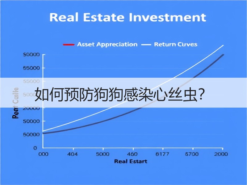 如何预防狗狗感染心丝虫？