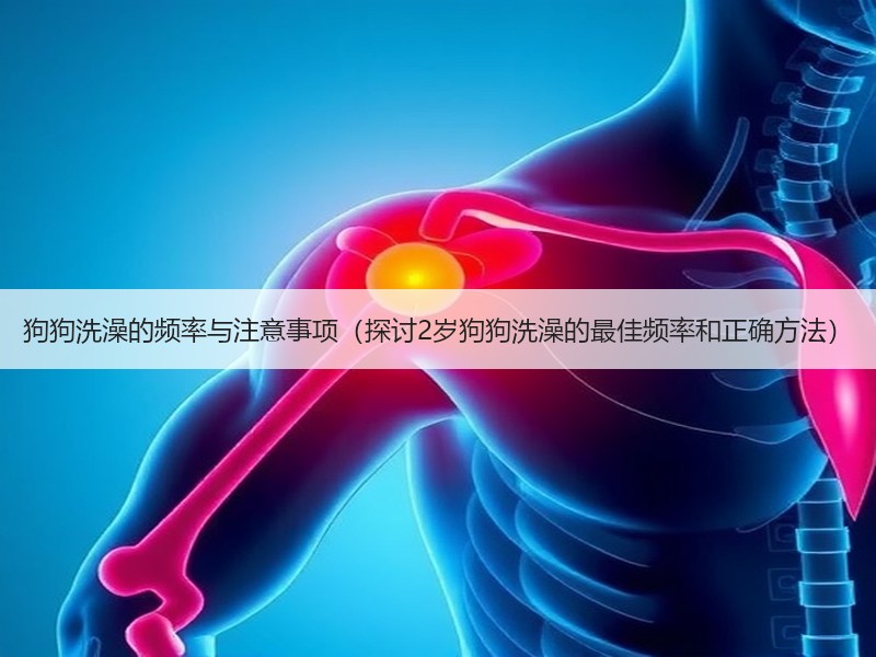 狗狗洗澡的频率与注意事项（探讨2岁狗狗洗澡的最佳频率和正确方法）