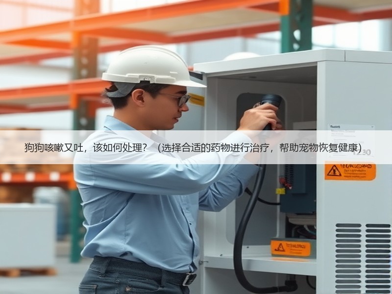 狗狗咳嗽又吐，该如何处理？（选择合适的药物进行治疗，帮助宠物恢复健康）