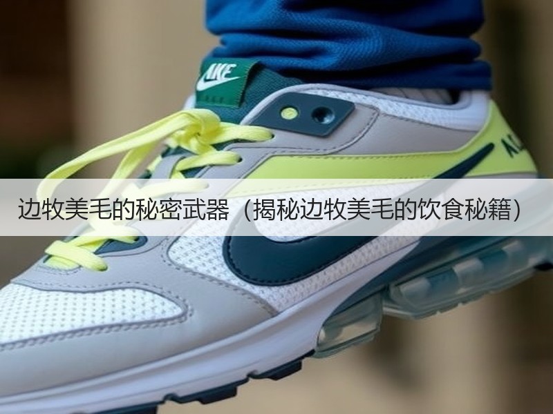 边牧美毛的秘密武器（揭秘边牧美毛的饮食秘籍）