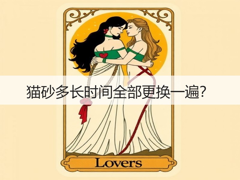 猫砂多长时间全部更换一遍？