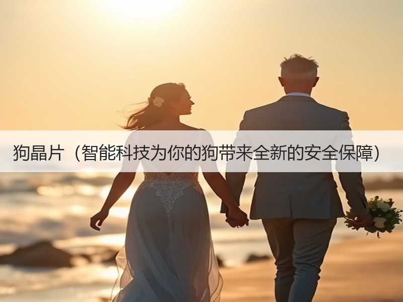 狗晶片（智能科技为你的狗带来全新的安全保障）