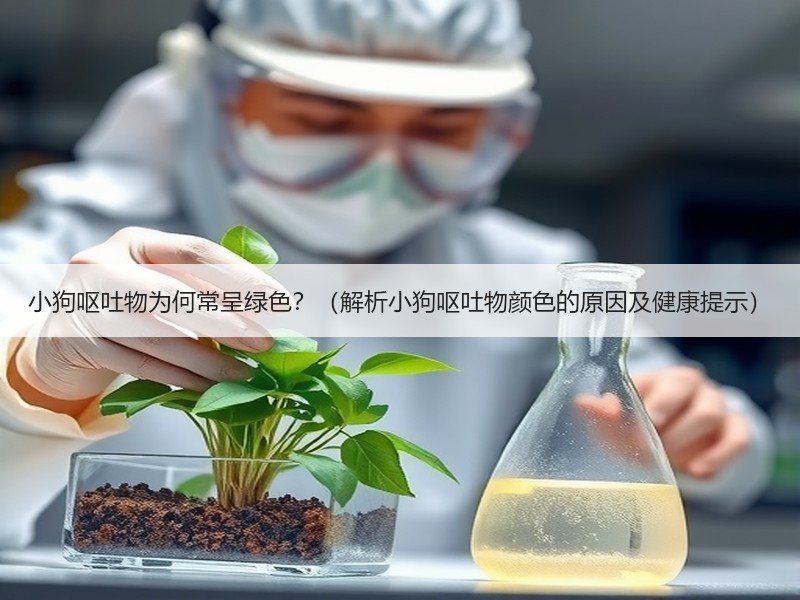 小狗呕吐物为何常呈绿色？（解析小狗呕吐物颜色的原因及健康提示）