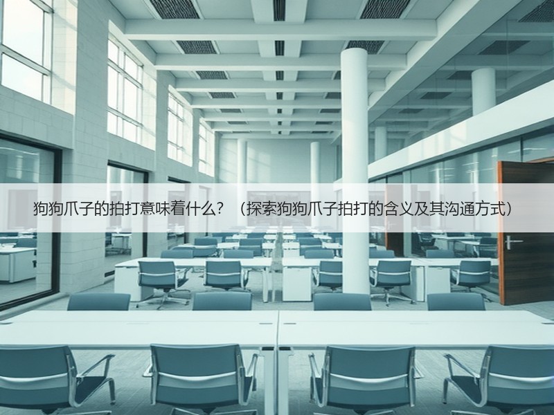 狗狗爪子的拍打意味着什么？（探索狗狗爪子拍打的含义及其沟通方式）