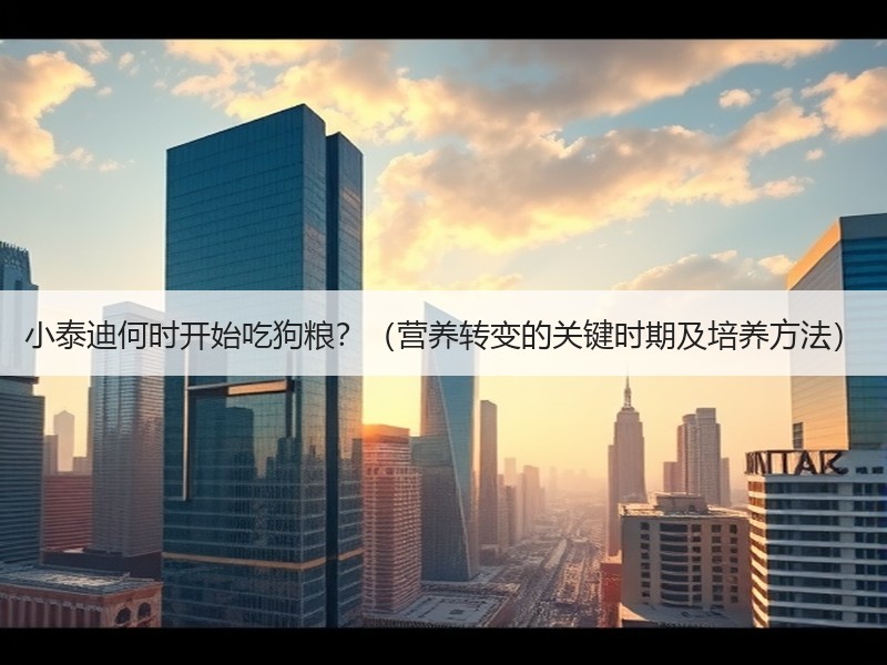 小泰迪何时开始吃狗粮？（营养转变的关键时期及培养方法）
