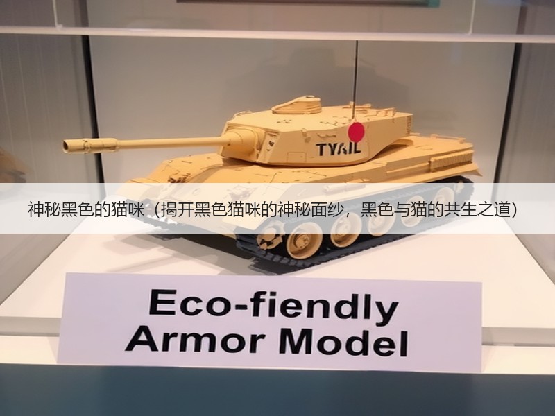 神秘黑色的猫咪（揭开黑色猫咪的神秘面纱，黑色与猫的共生之道）