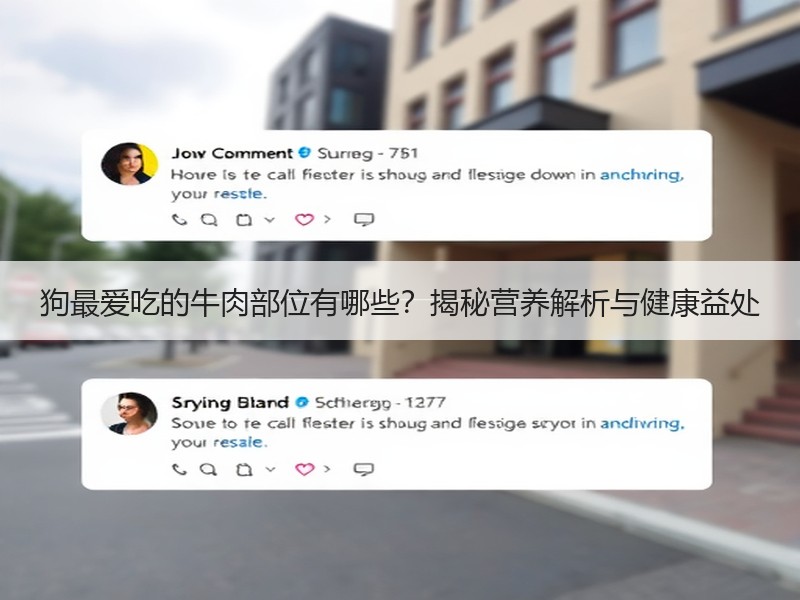 狗最爱吃的牛肉部位有哪些？揭秘营养解析与健康益处