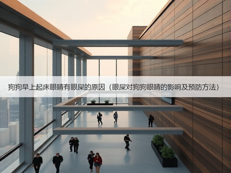狗狗早上起床眼睛有眼屎的原因（眼屎对狗狗眼睛的影响及预防方法）