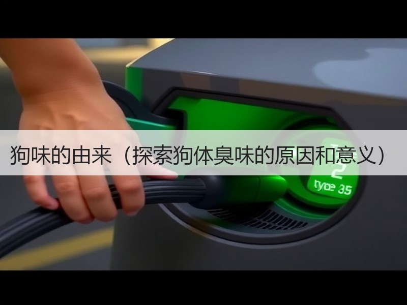 狗味的由来（探索狗体臭味的原因和意义）
