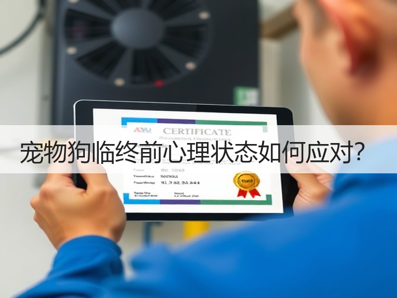 宠物狗临终前心理状态如何应对？