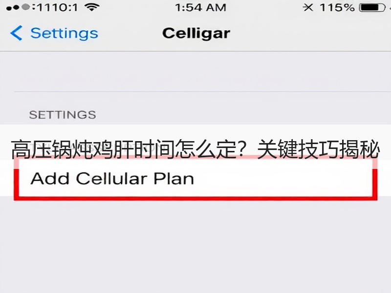 高压锅炖鸡肝时间怎么定？关键技巧揭秘