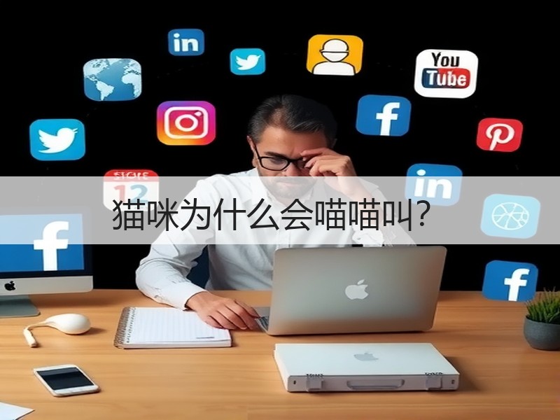 猫咪为什么会喵喵叫？
