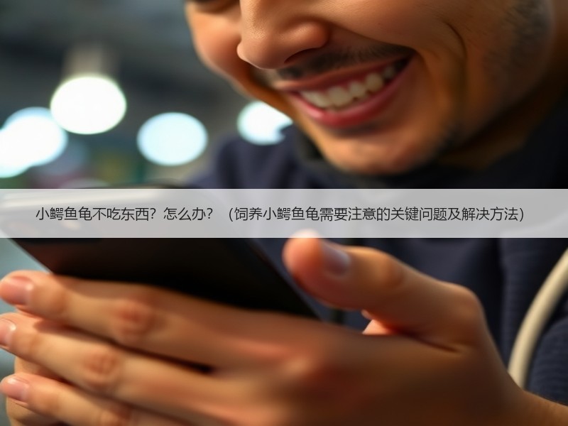小鳄鱼龟不吃东西？怎么办？（饲养小鳄鱼龟需要注意的关键问题及解决方法）