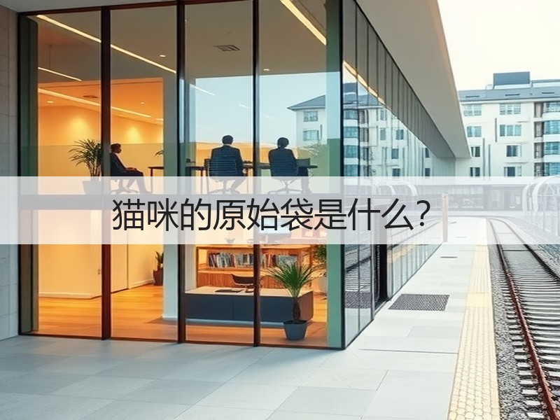 猫咪的原始袋是什么？