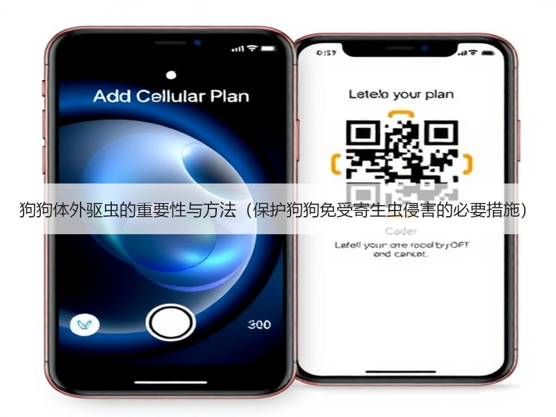 狗狗体外驱虫的重要性与方法（保护狗狗免受寄生虫侵害的必要措施）