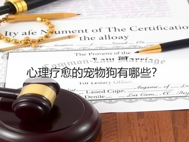 心理疗愈的宠物狗有哪些？