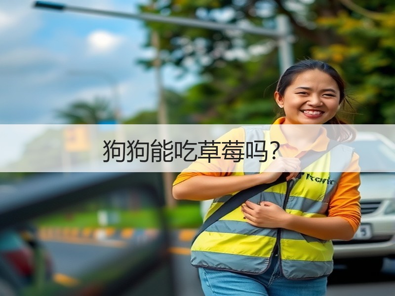 狗狗能吃草莓吗？