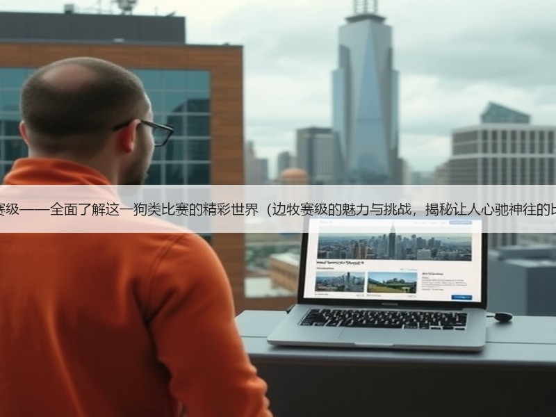 探索边牧赛级——全面了解这一狗类比赛的精彩世界（边牧赛级的魅力与挑战，揭秘让人心驰神往的比赛场景）