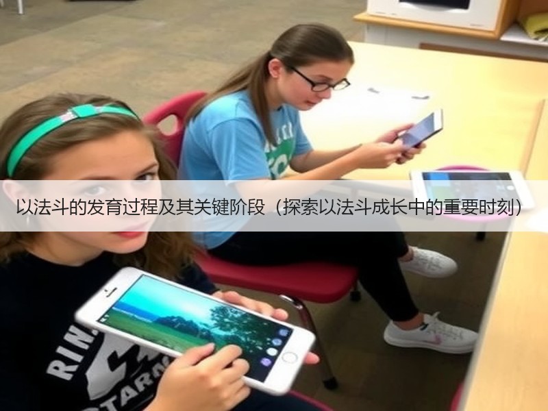 以法斗的发育过程及其关键阶段（探索以法斗成长中的重要时刻）