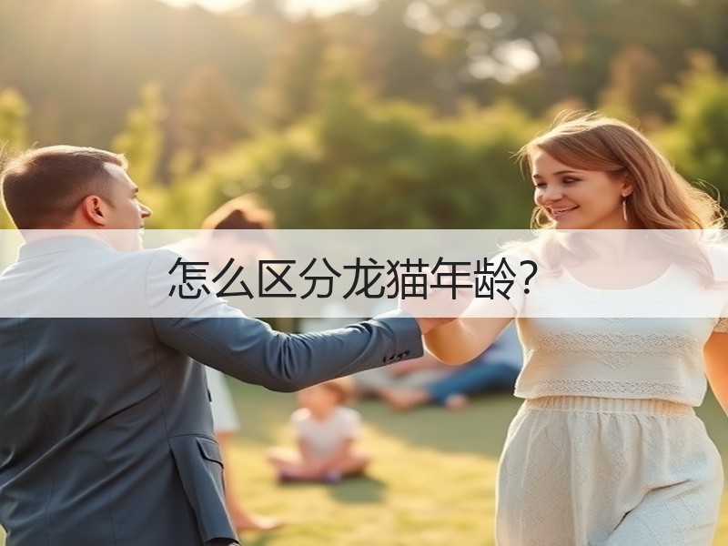 怎么区分龙猫年龄？