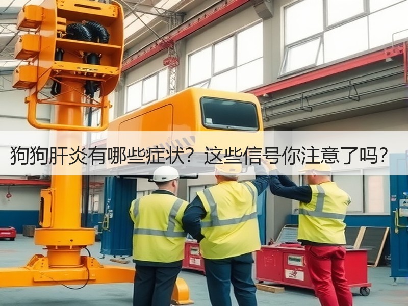 狗狗肝炎有哪些症状？这些信号你注意了吗？