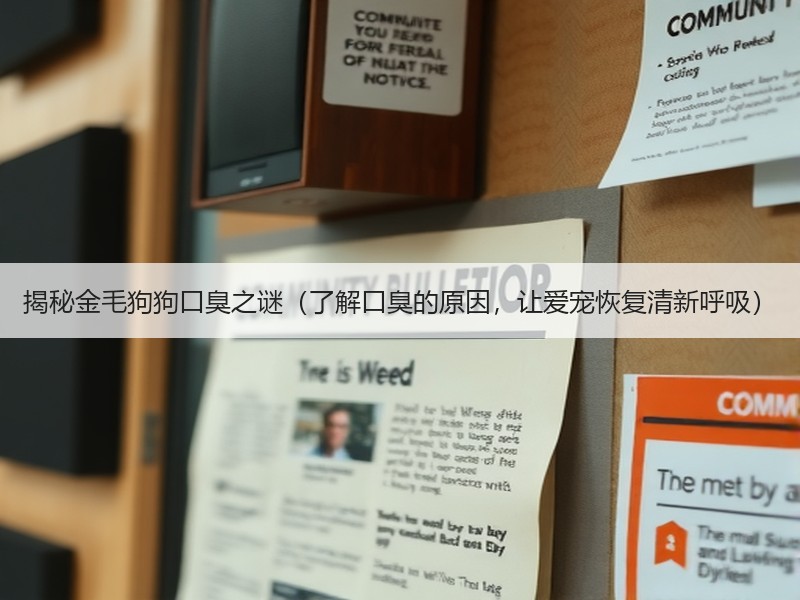 揭秘金毛狗狗口臭之谜（了解口臭的原因，让爱宠恢复清新呼吸）
