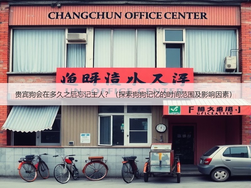 贵宾狗会在多久之后忘记主人？（探索狗狗记忆的时间范围及影响因素）