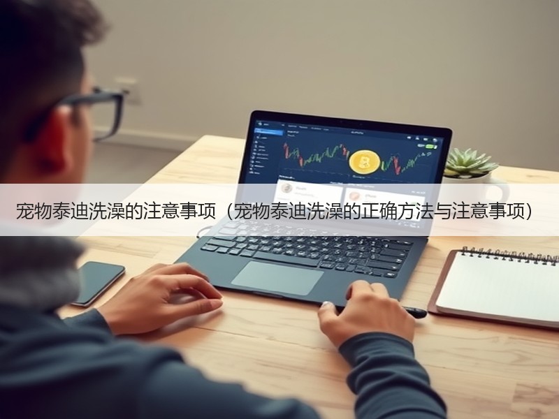 宠物泰迪洗澡的注意事项（宠物泰迪洗澡的正确方法与注意事项）