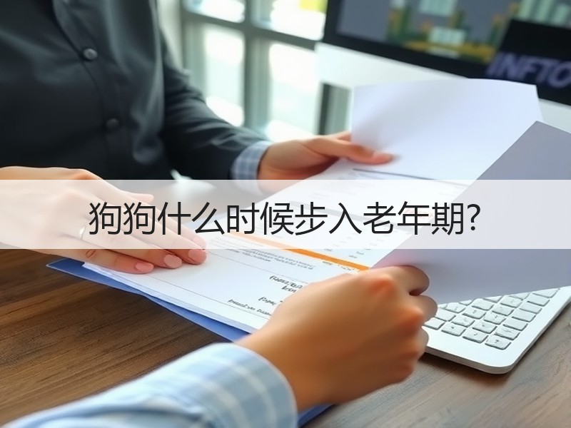 狗狗什么时候步入老年期?