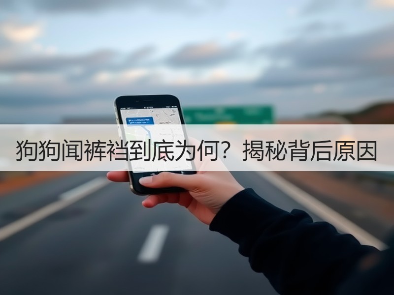 狗狗闻裤裆到底为何？揭秘背后原因