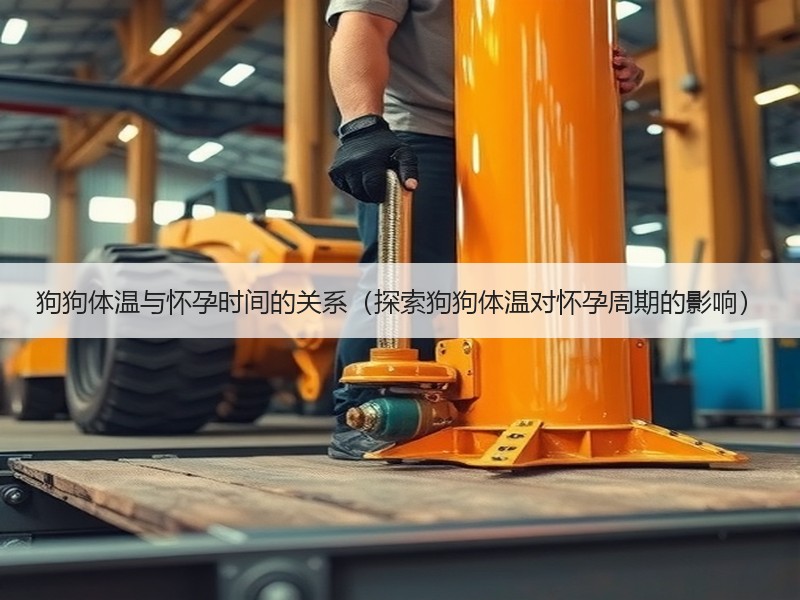 狗狗体温与怀孕时间的关系（探索狗狗体温对怀孕周期的影响）