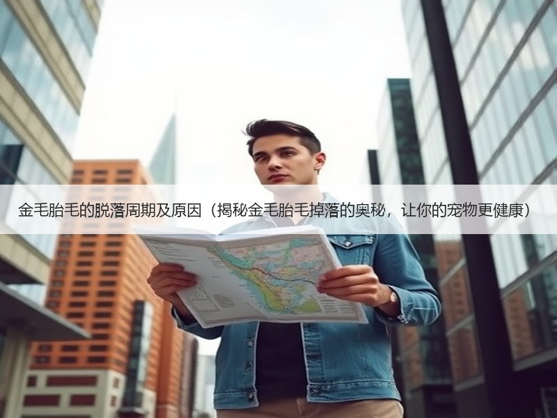 金毛胎毛的脱落周期及原因（揭秘金毛胎毛掉落的奥秘，让你的宠物更健康）
