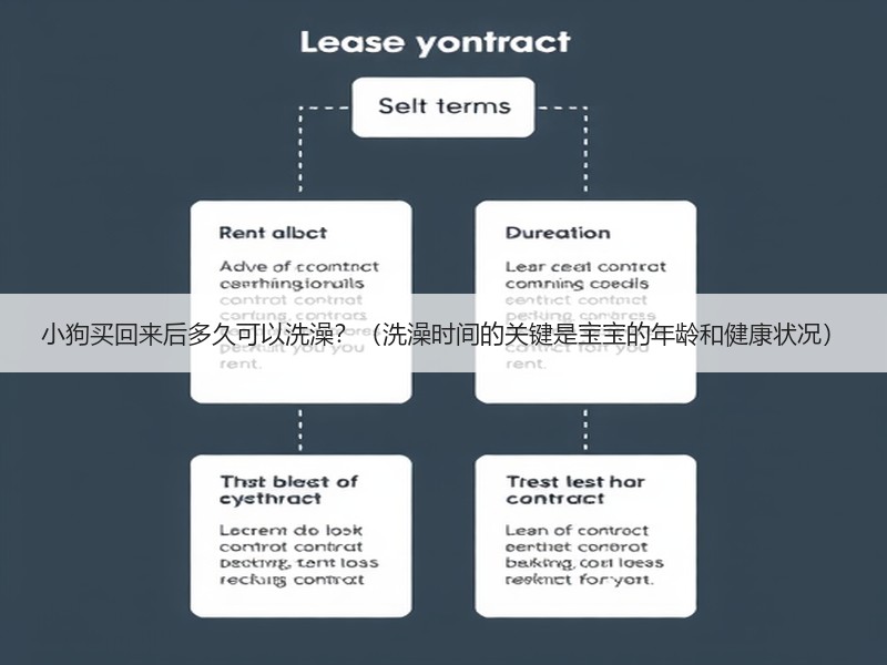 小狗买回来后多久可以洗澡？（洗澡时间的关键是宝宝的年龄和健康状况）