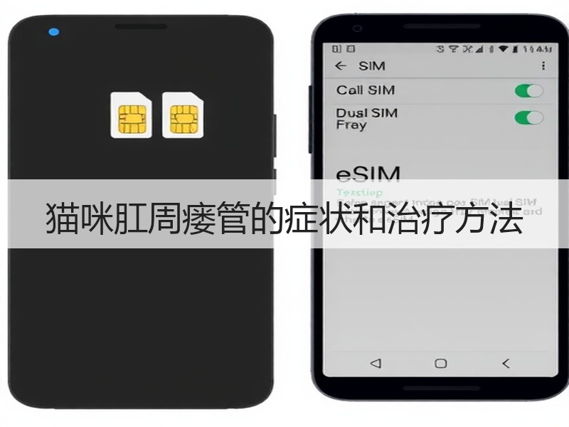 猫咪肛周瘘管的症状和治疗方法
