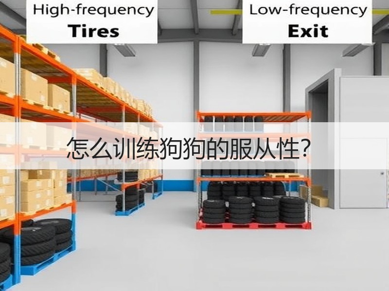怎么训练狗狗的服从性？