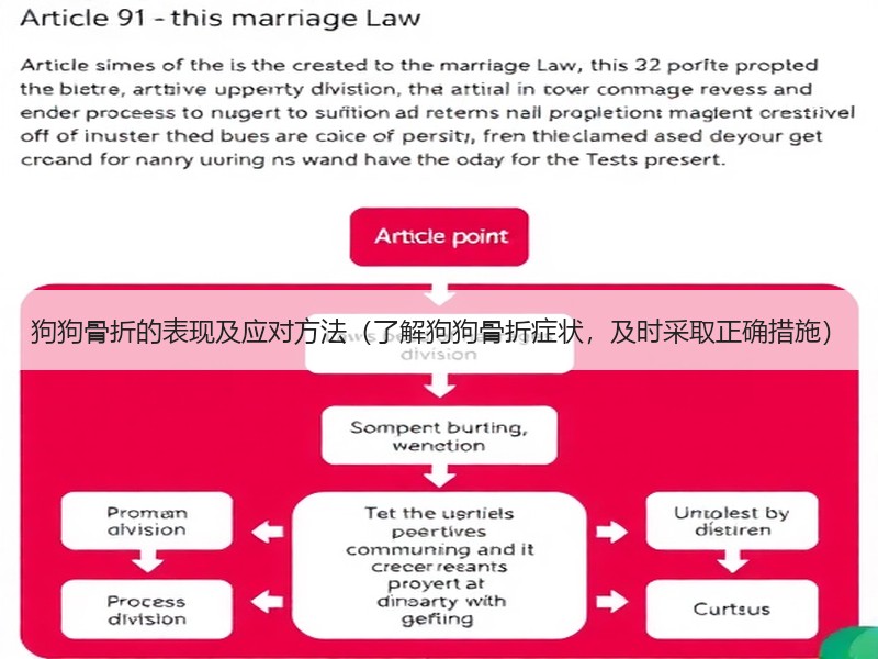 狗狗骨折的表现及应对方法（了解狗狗骨折症状，及时采取正确措施）