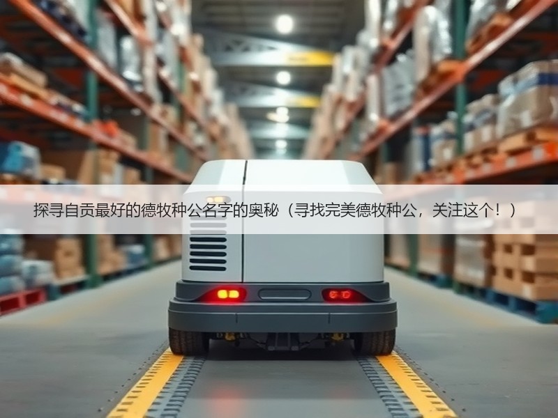 探寻自贡最好的德牧种公名字的奥秘（寻找完美德牧种公，关注这个！）