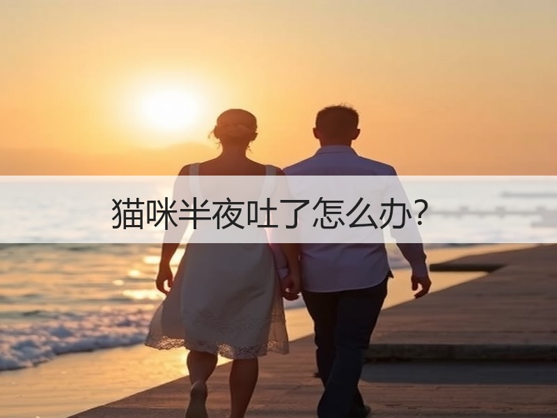 猫咪半夜吐了怎么办？