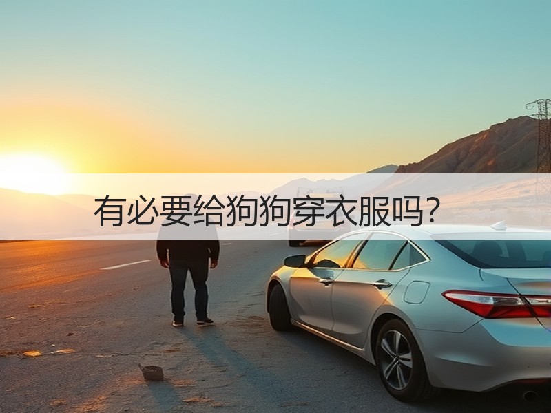 有必要给狗狗穿衣服吗？