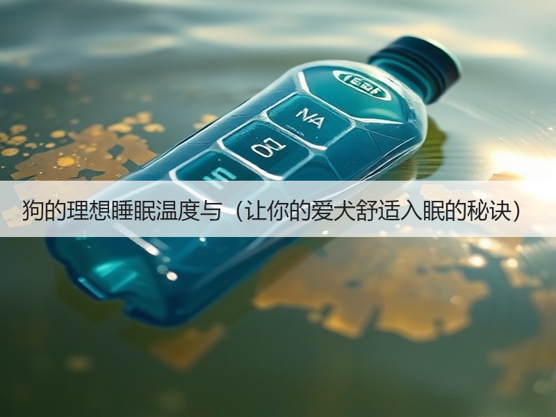 狗的理想睡眠温度与（让你的爱犬舒适入眠的秘诀）
