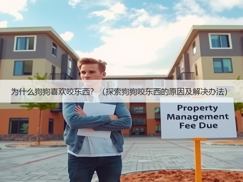 为什么狗狗喜欢咬东西？（探索狗狗咬东西的原因及解决办法）