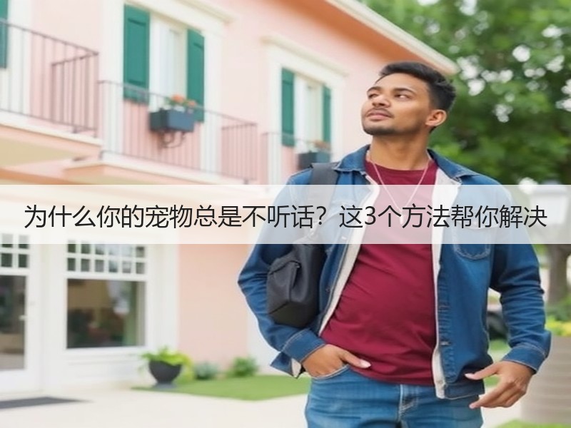 为什么你的宠物总是不听话？这3个方法帮你解决