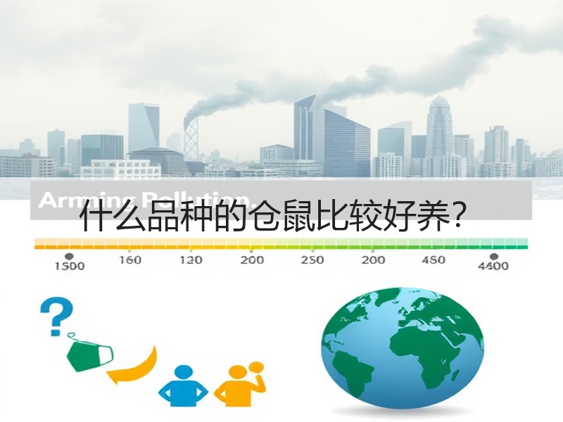 什么品种的仓鼠比较好养？