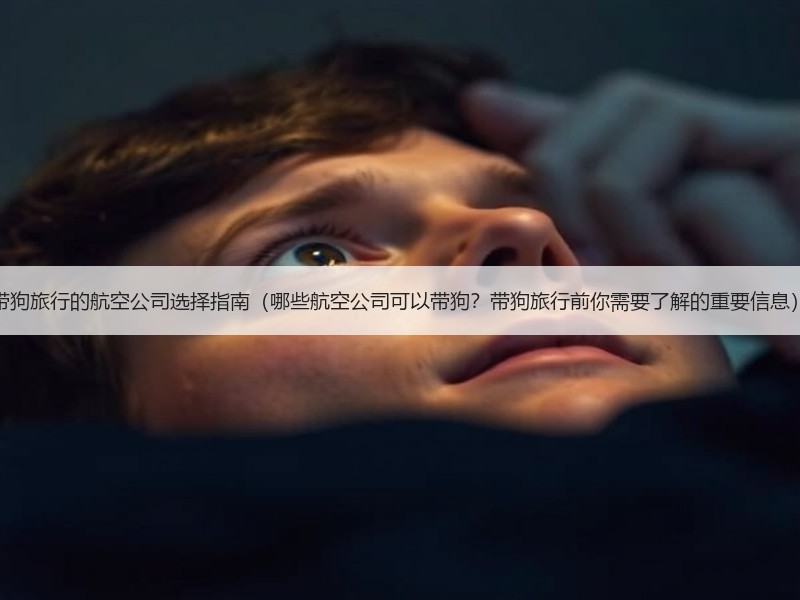 带狗旅行的航空公司选择指南（哪些航空公司可以带狗？带狗旅行前你需要了解的重要信息）