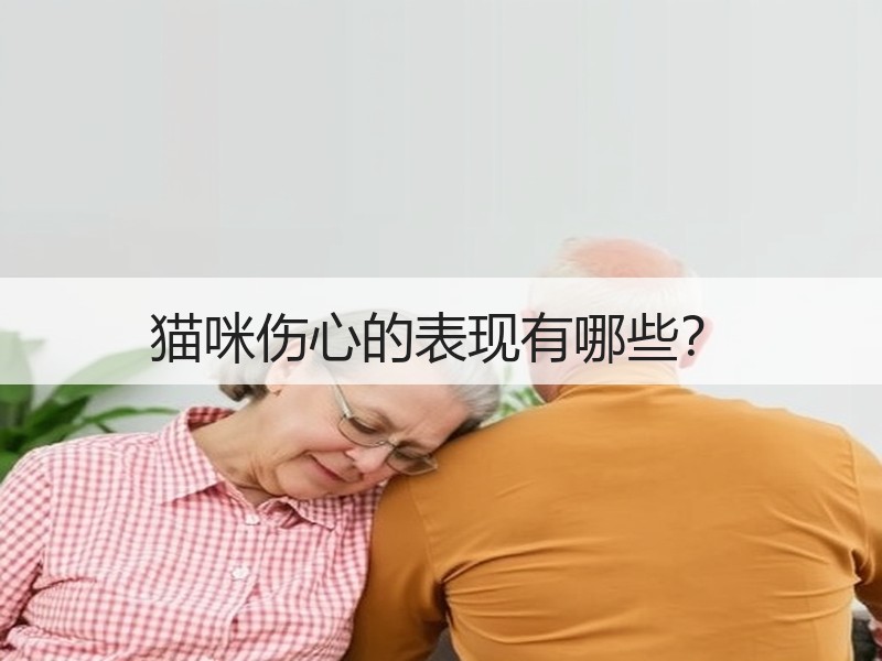 猫咪伤心的表现有哪些？